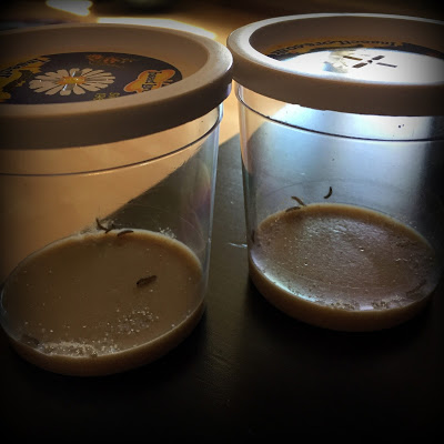 Vorschaubild / Materialvorschau