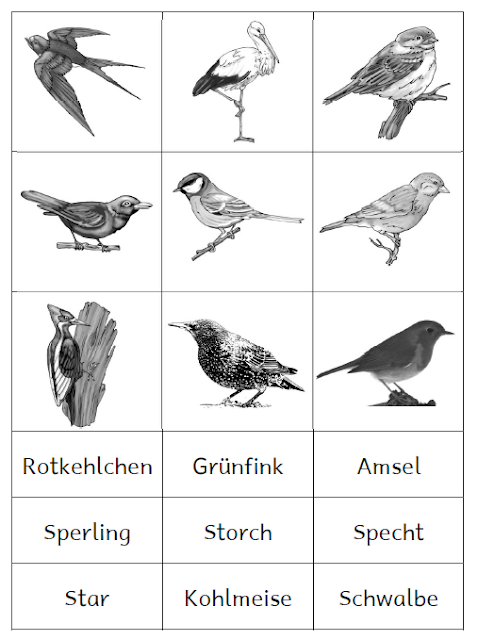 Vorschaubild / Materialvorschau