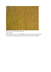 Vorschaubild / Materialvorschau