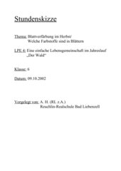 Vorschaubild / Materialvorschau