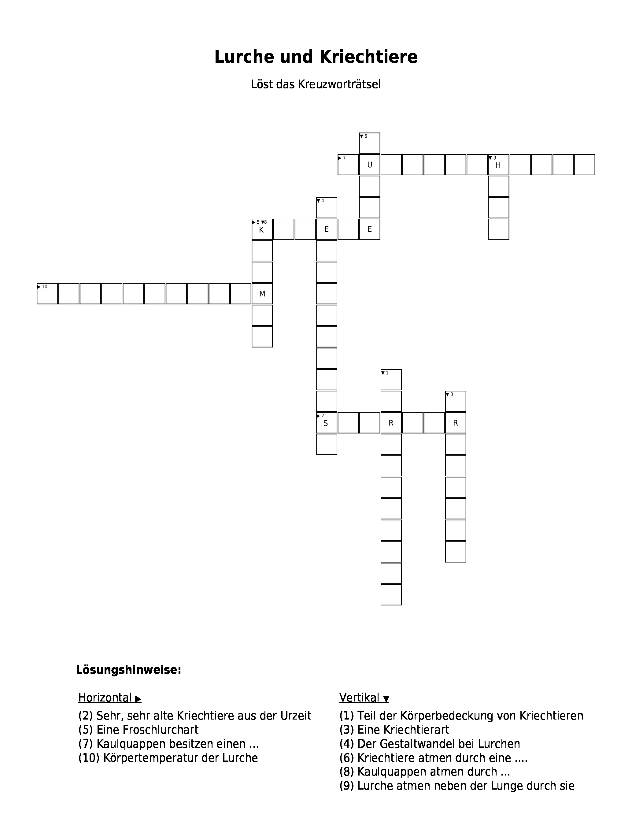 Vorschaubild / Materialvorschau
