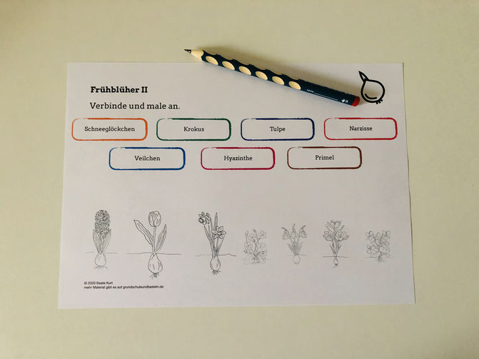 Vorschaubild / Materialvorschau