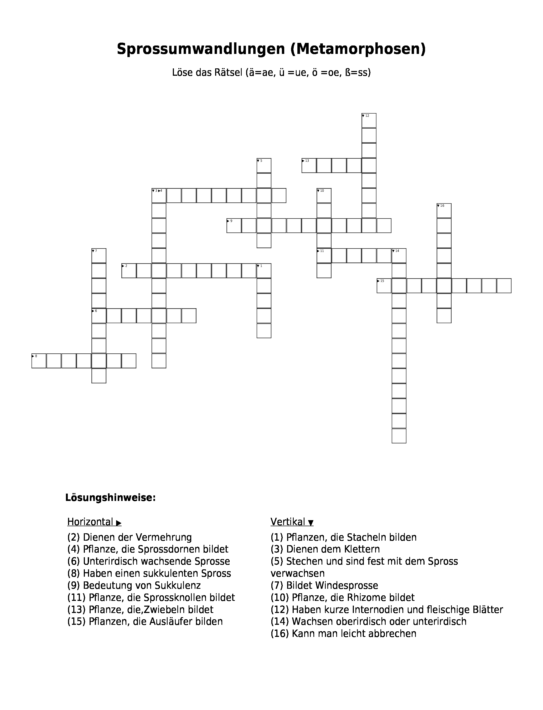 Vorschaubild / Materialvorschau