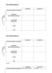 Vorschaubild / Materialvorschau