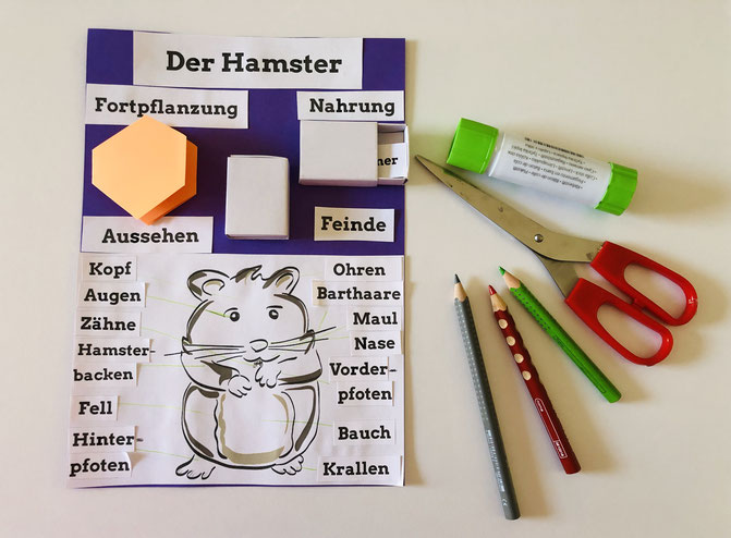 Vorschaubild / Materialvorschau
