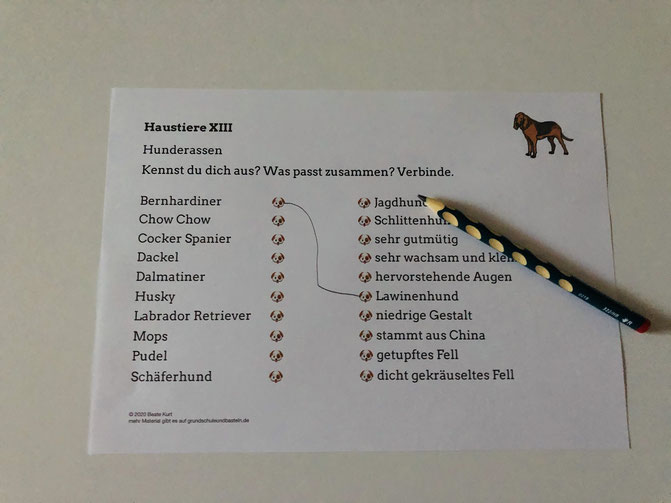 Vorschaubild / Materialvorschau