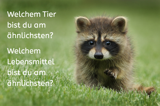 Vorschaubild / Materialvorschau