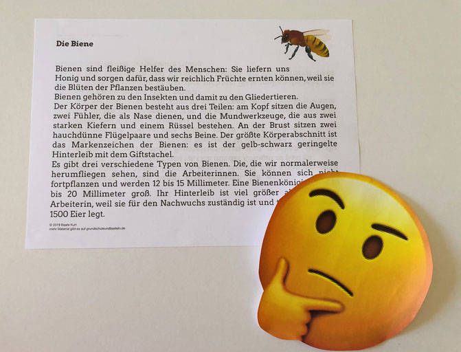 Vorschaubild / Materialvorschau