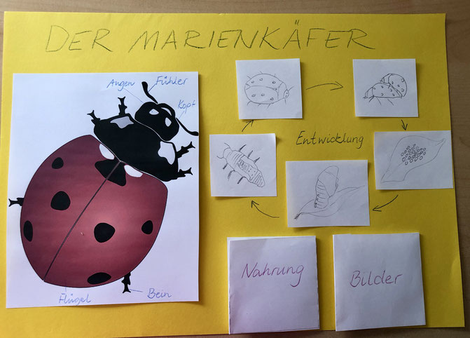 Vorschaubild / Materialvorschau