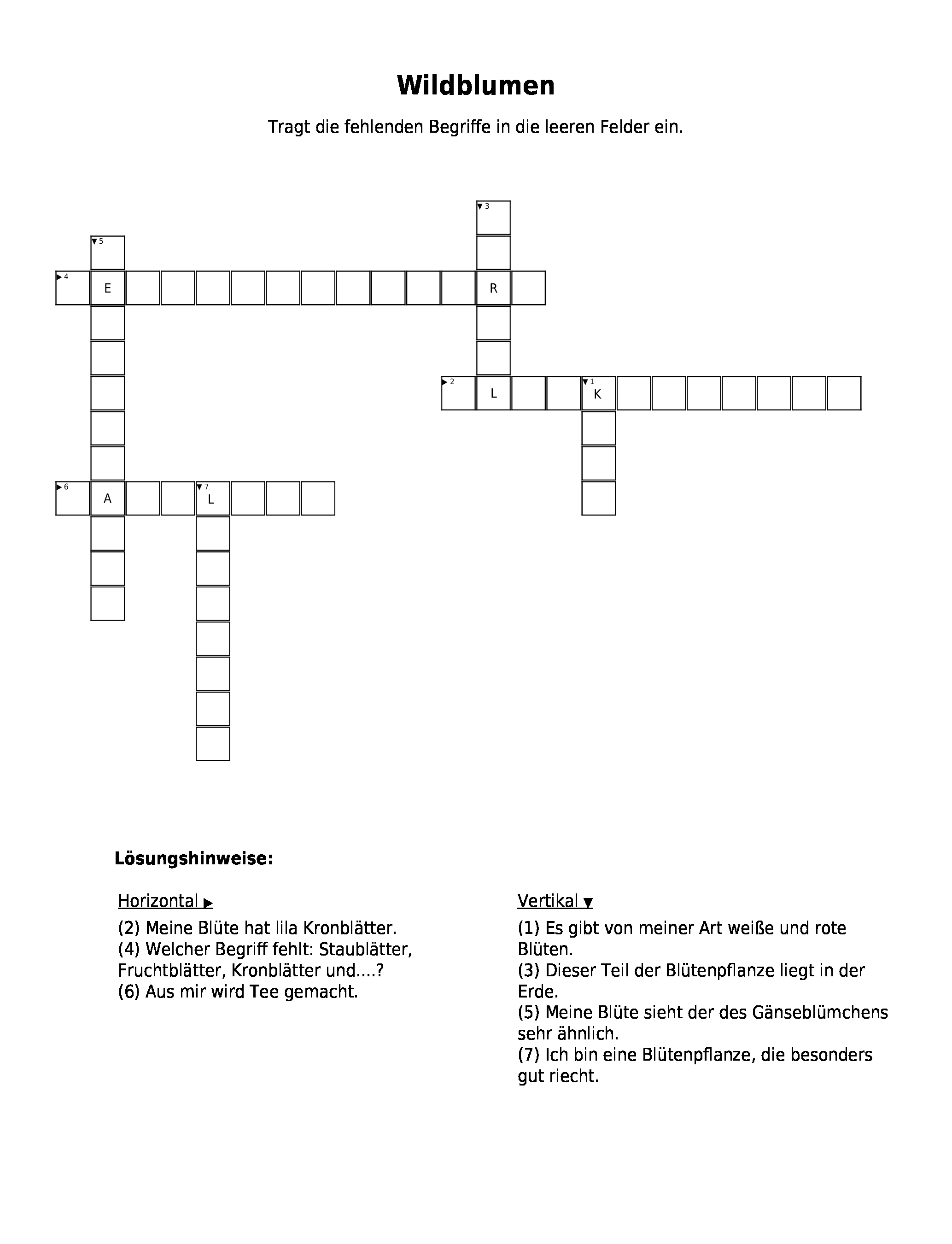 Vorschaubild / Materialvorschau