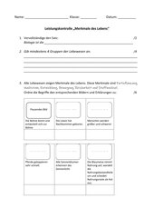 Vorschaubild / Materialvorschau