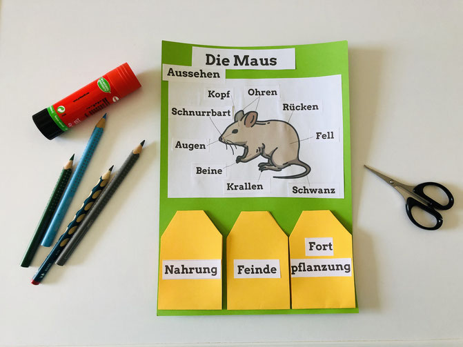 Vorschaubild / Materialvorschau