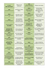 Vorschaubild / Materialvorschau