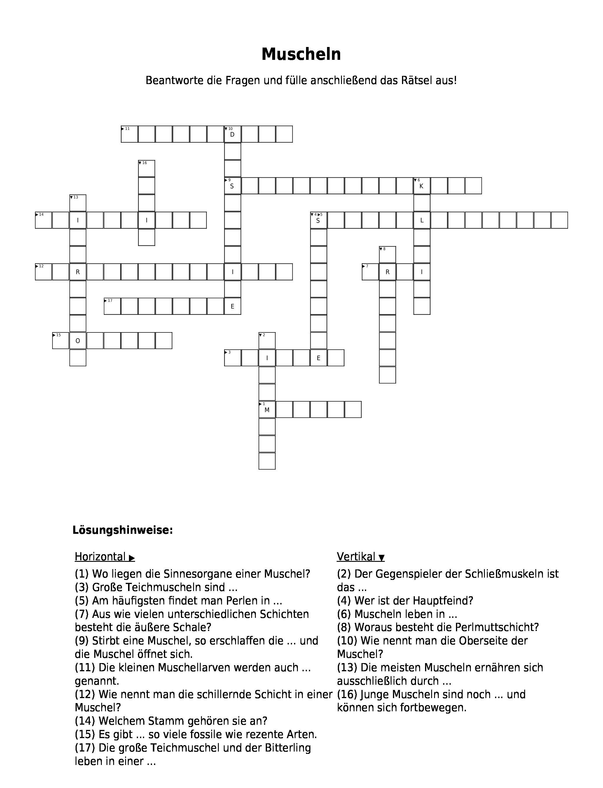 Vorschaubild / Materialvorschau