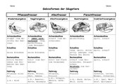 Vorschaubild / Materialvorschau