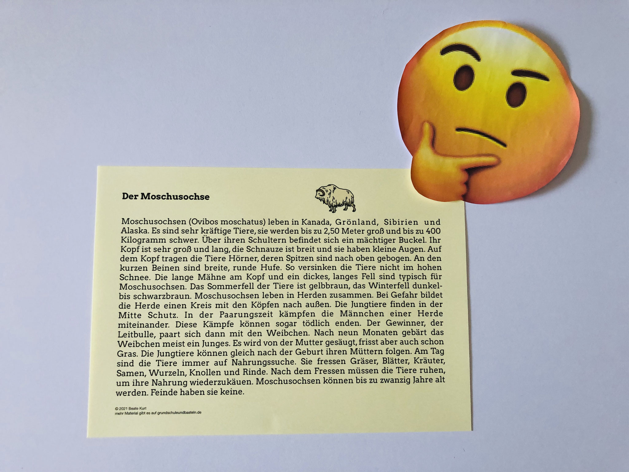 Vorschaubild / Materialvorschau