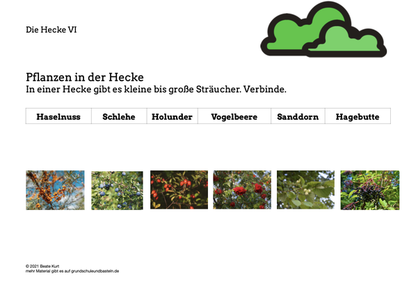 Vorschaubild / Materialvorschau