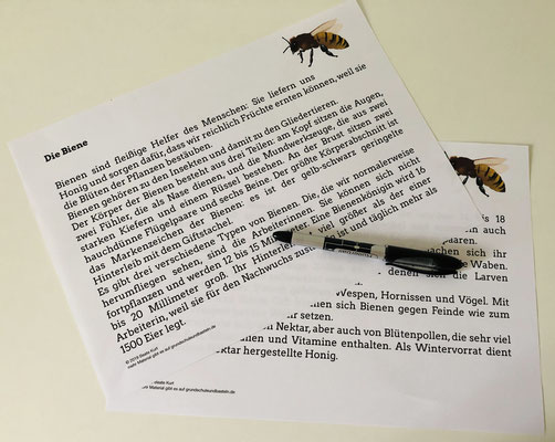 Vorschaubild / Materialvorschau