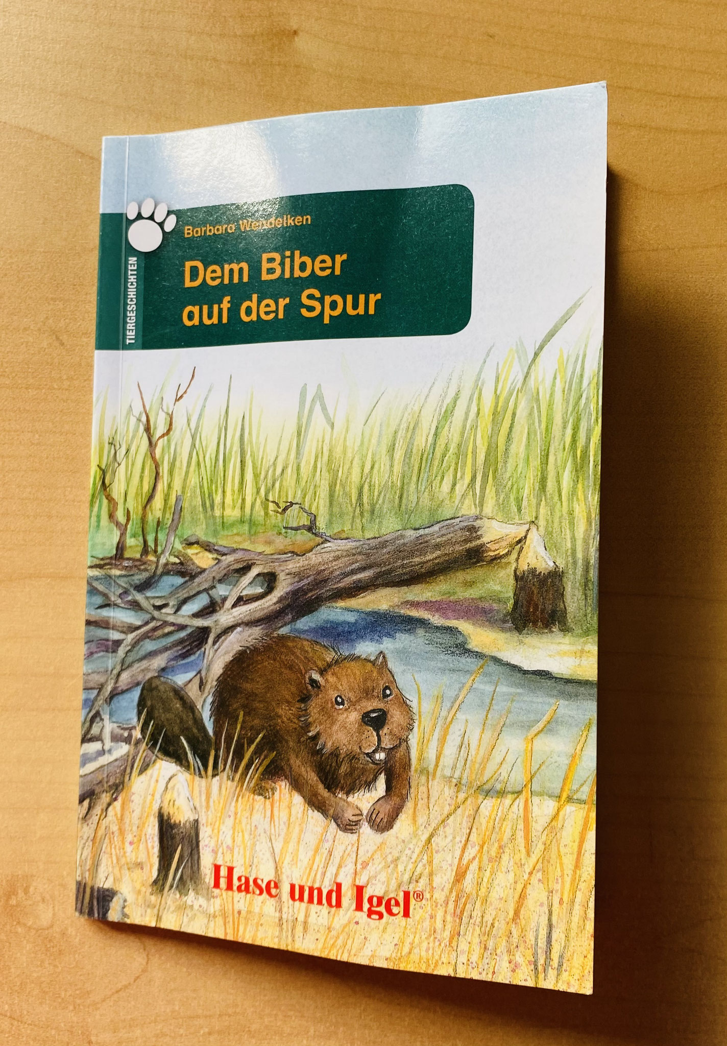 Vorschaubild / Materialvorschau