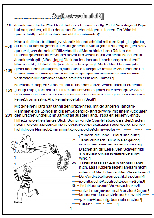 Vorschaubild / Materialvorschau