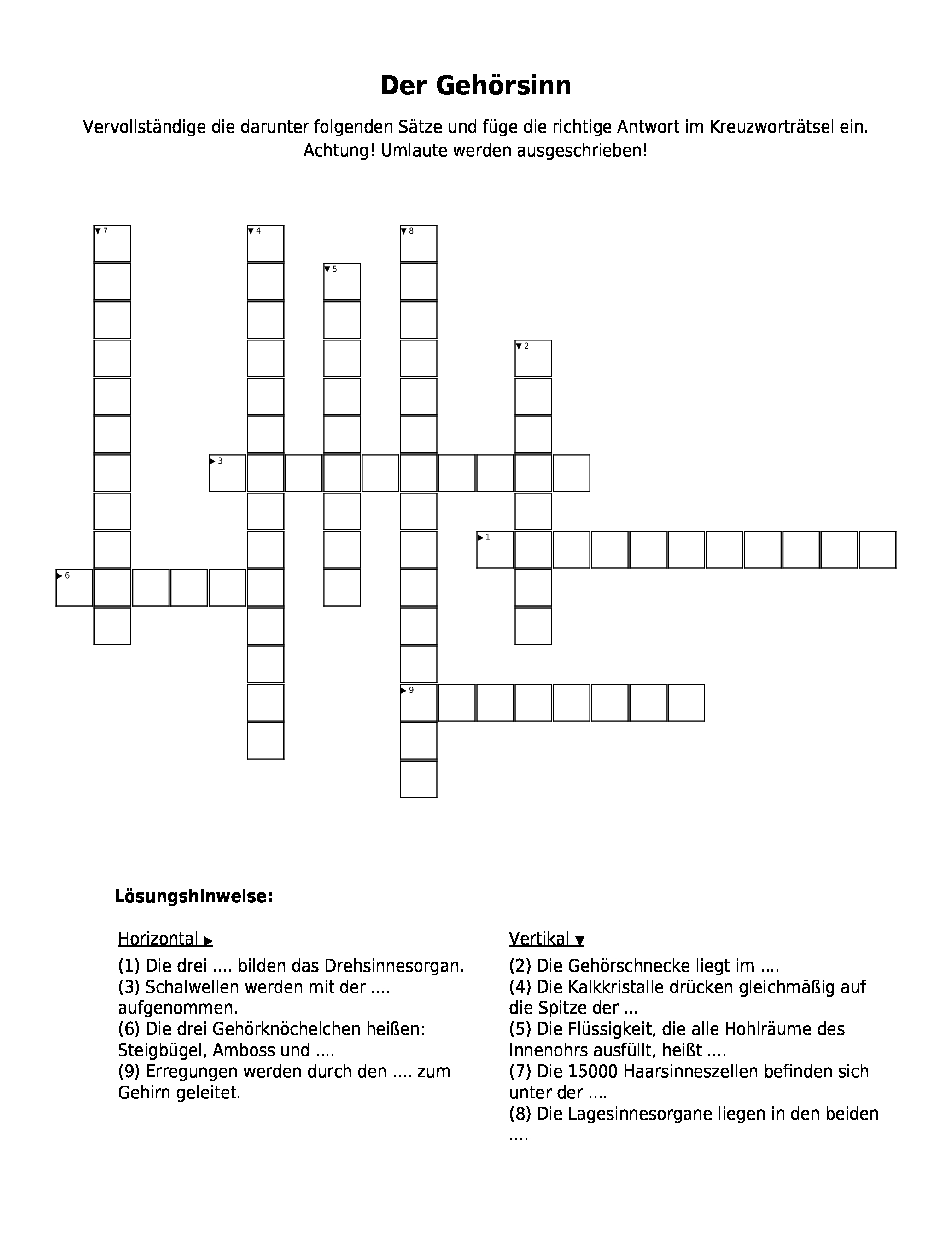 Vorschaubild / Materialvorschau