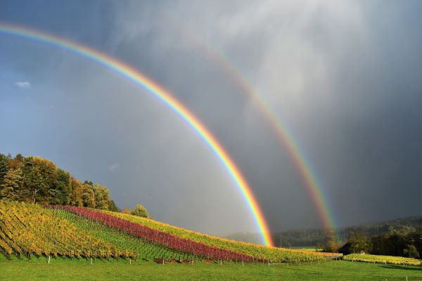 Vorschaubild / Materialvorschau