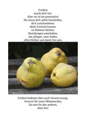 Vorschaubild / Materialvorschau