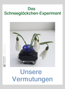 Vorschaubild / Materialvorschau