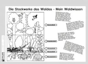 Vorschaubild / Materialvorschau