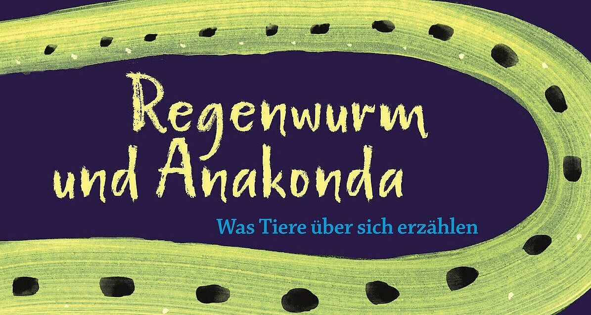 Vorschaubild / Materialvorschau