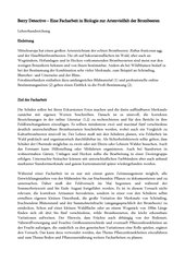 Vorschaubild / Materialvorschau