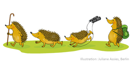 Vorschaubild / Materialvorschau